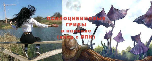 дживик Волоколамск