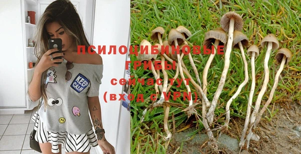 2c-b Волосово