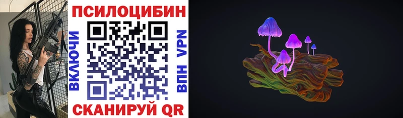 Галлюциногенные грибы GOLDEN TEACHER  Купить  Луховицы 